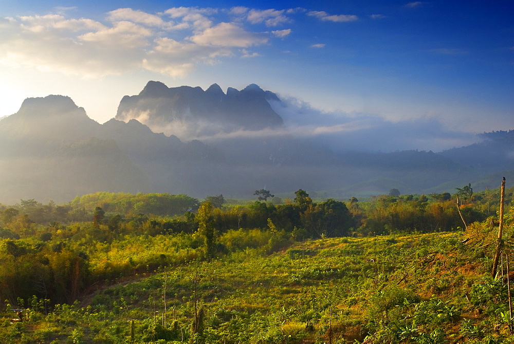 Khao Sok National Park, Surat Thani Province, Thailand, Southeast Asia, Asia