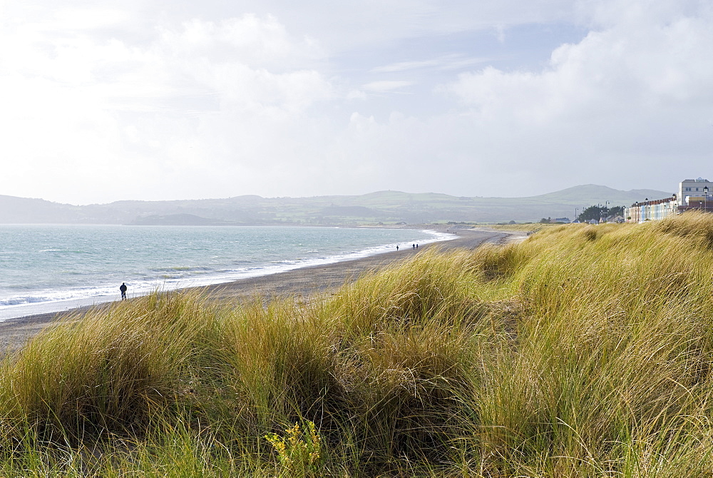 Pwllheli, Cardigan Bay, Snowdonia National Park, Wales, United Kingdom, Europe