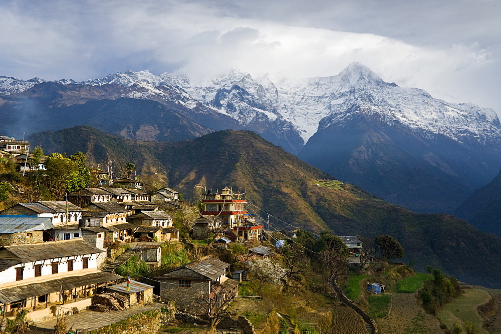 Ghandruk, 1990 metres, Annapurna Himal, Nepal, Himalayas, Asia