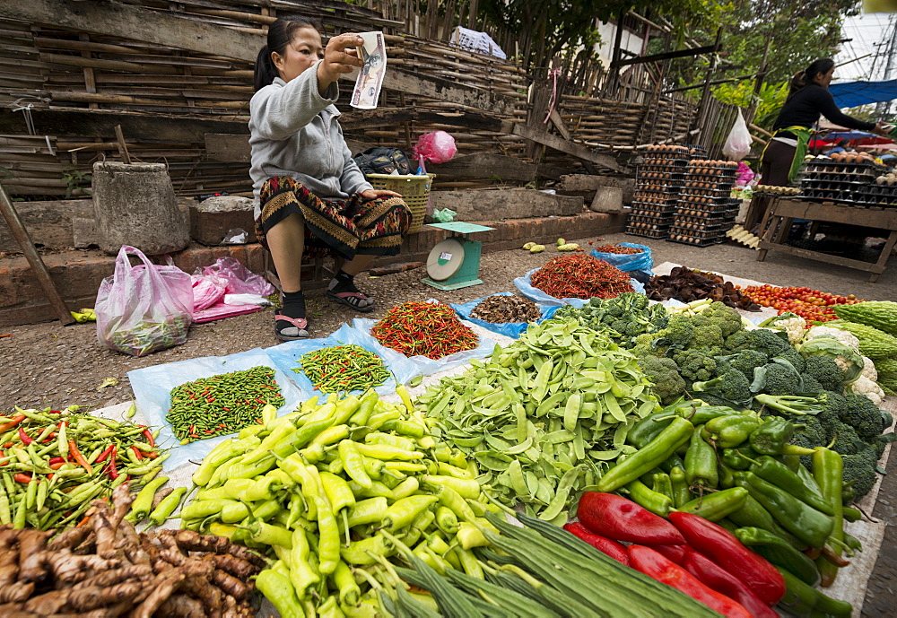 Groceries at Morning Market, Luang Prabang, Laos, Indochina, Southeast Asia, Asia