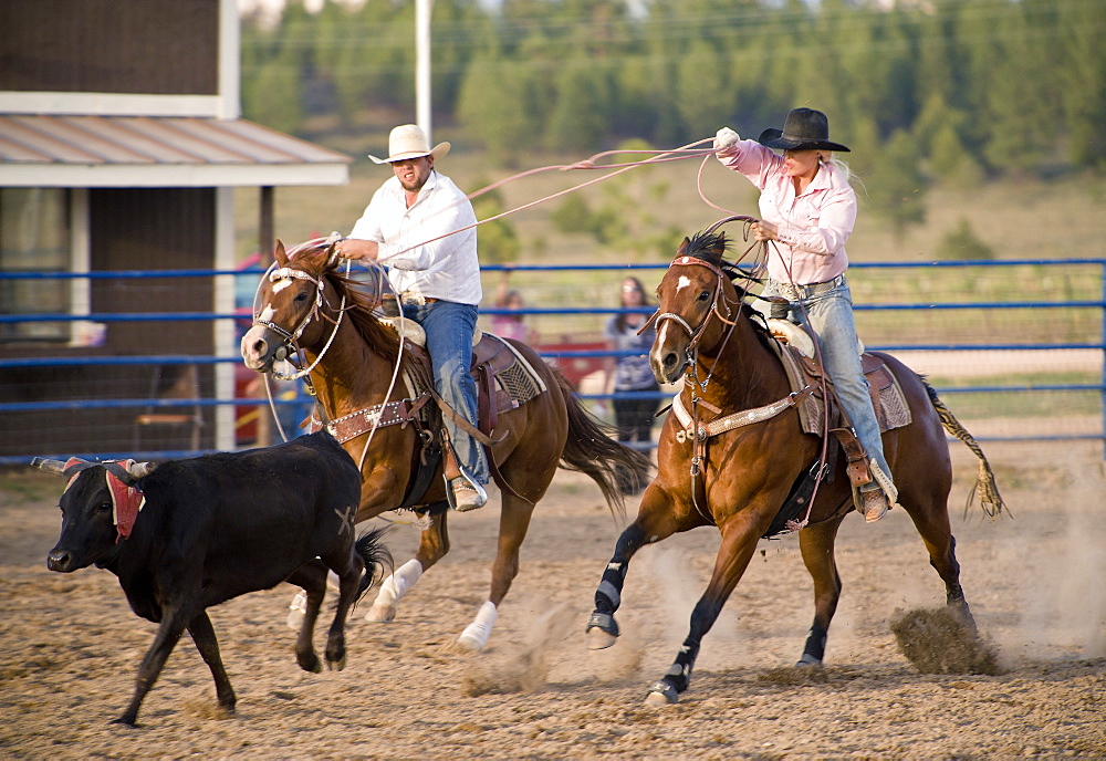 Bryce Rodeo, Bryce, Utah, United States of America, North America