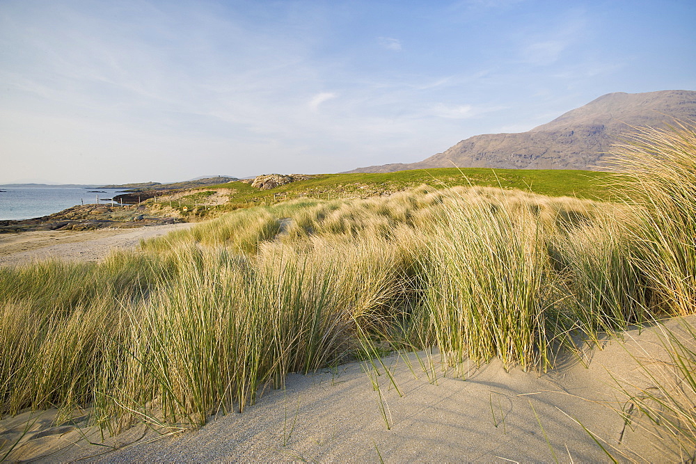 Glassillaun, Connemara, County Galway, Connacht, Republic of Ireland, Europe 