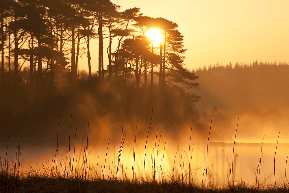 Derryclare Lough at dawn, Connemara, County Galway, Connacht, Republic of Ireland, Europe 