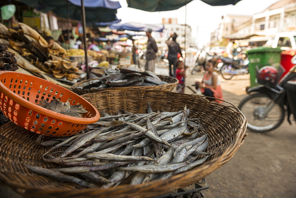 Market, Battambang, Battambang Province, Cambodia, Indochina, Southeast Asia, Asia 