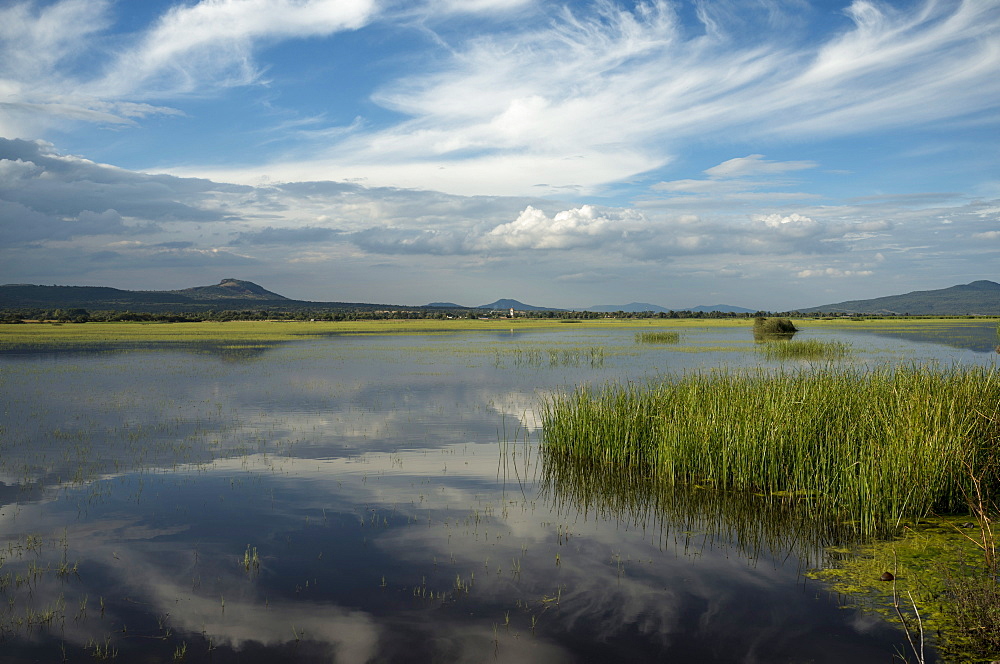 Lake Cuitzeo, Michoacan, Mexico, North America