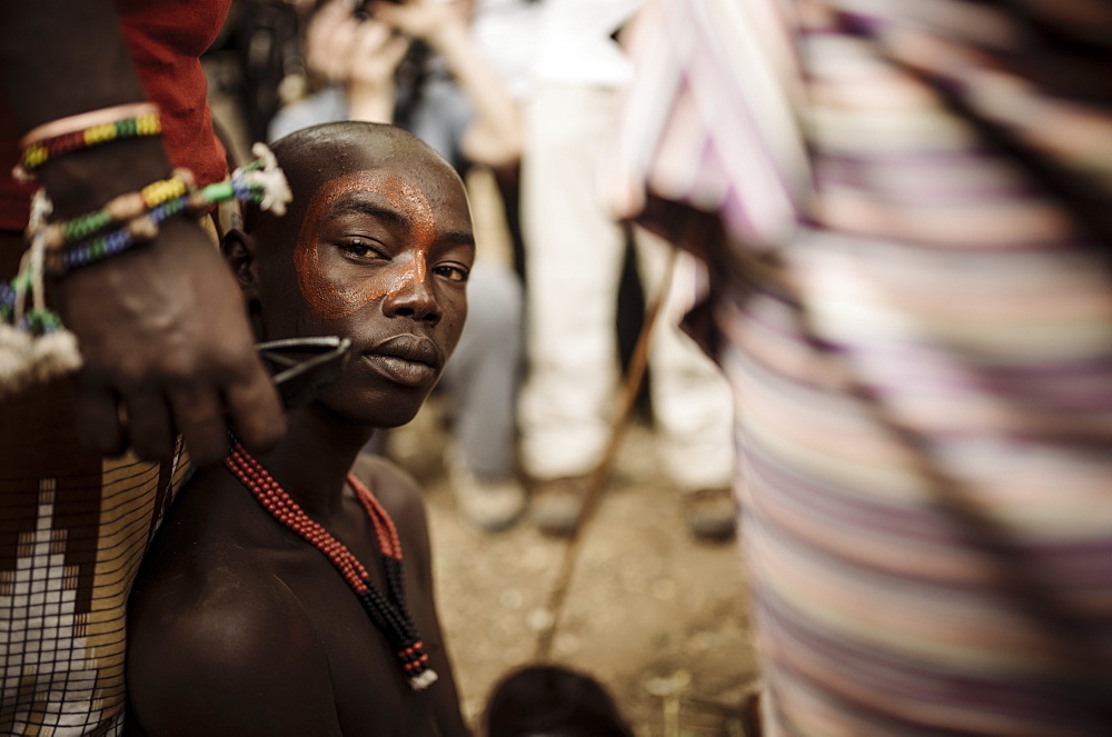 Jumping of the Bulls Ceremony, Hamar Tribe, Turmi, Omo Valley, Ethiopia, Africa