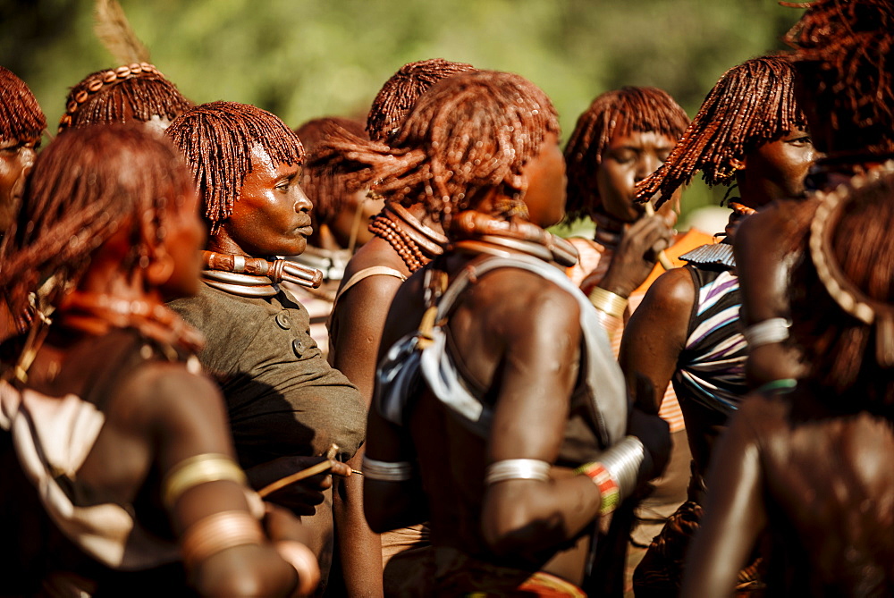 Jumping of the Bulls Ceremony, Hamar Tribe, Turmi, Omo Valley, Ethiopia, Africa