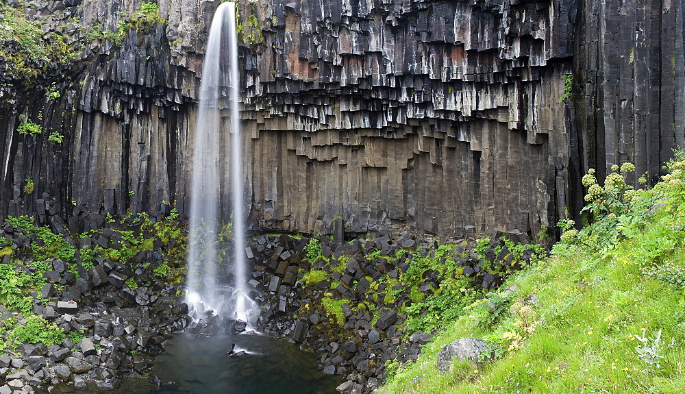 Svartifoss Waterfall, Skaftafell National Park, Iceland, Polar Regions