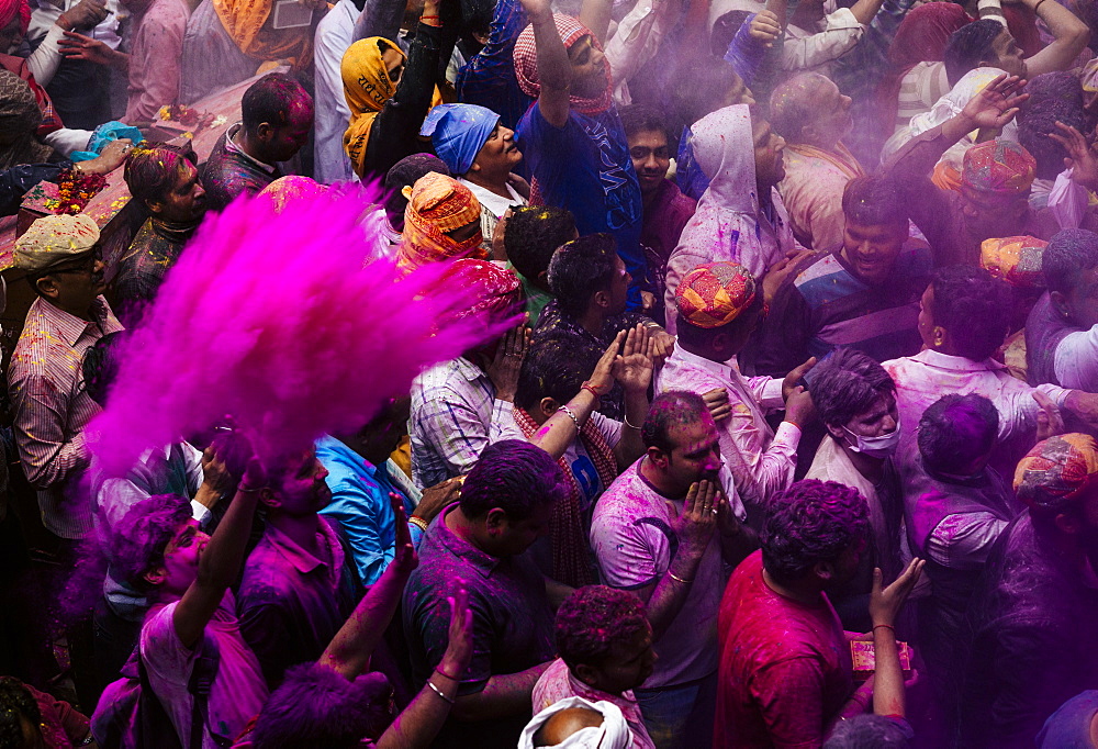 Lathmar Holi celebrations in Bankei Bihari Temple, Vrindavan, Braj, Uttar Pradesh, India, Asia