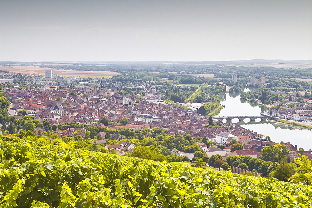 Looking over the vineyards to the town of Joigny, Yonne, Burgundy, France, Europe