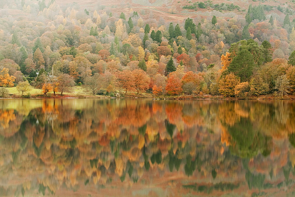 Autumn colours reflected in Grasmere Lake in the Lake District National Park, Cumbria, England, United Kingdom, Europe