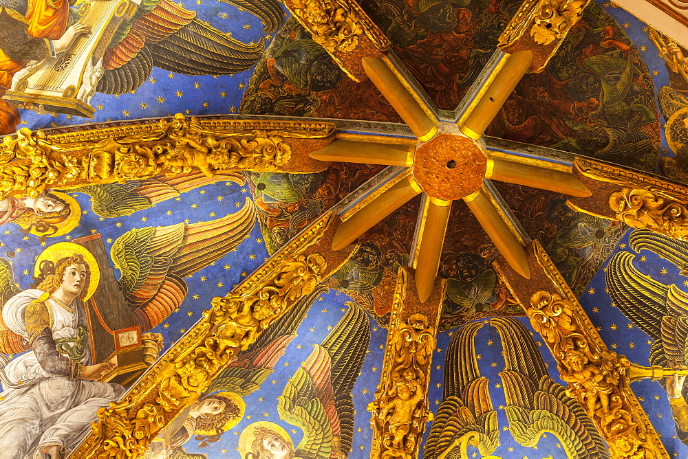 Decorated ceiling in the Metropolitan Cathedral-Basilica of the Assumption of Our Lady of Valencia (Iglesia Catedral-Basilica Metropolitana de la Asuncion de Nuestra Senora de Valencia), Valencia, Spain, Europe