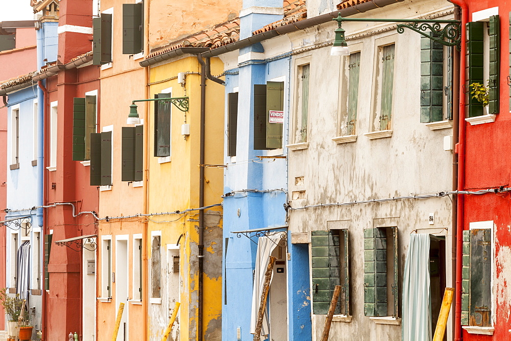 Coloured houses on the island of Burano, Venice, UNESCO World Heritage Site, Veneto, Italy, Europe 