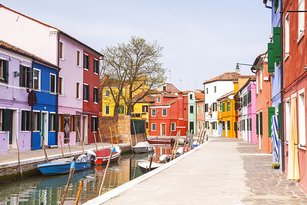 Colored houses on the island of Burano, Venice, Veneto, Italy, Europe