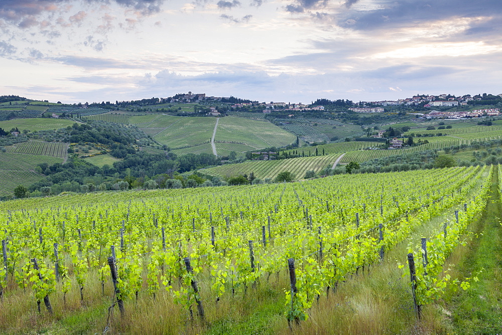 The town of Panzano in Chianti, part of the famous Chianti wine region in Tuscany, Italy, Europe