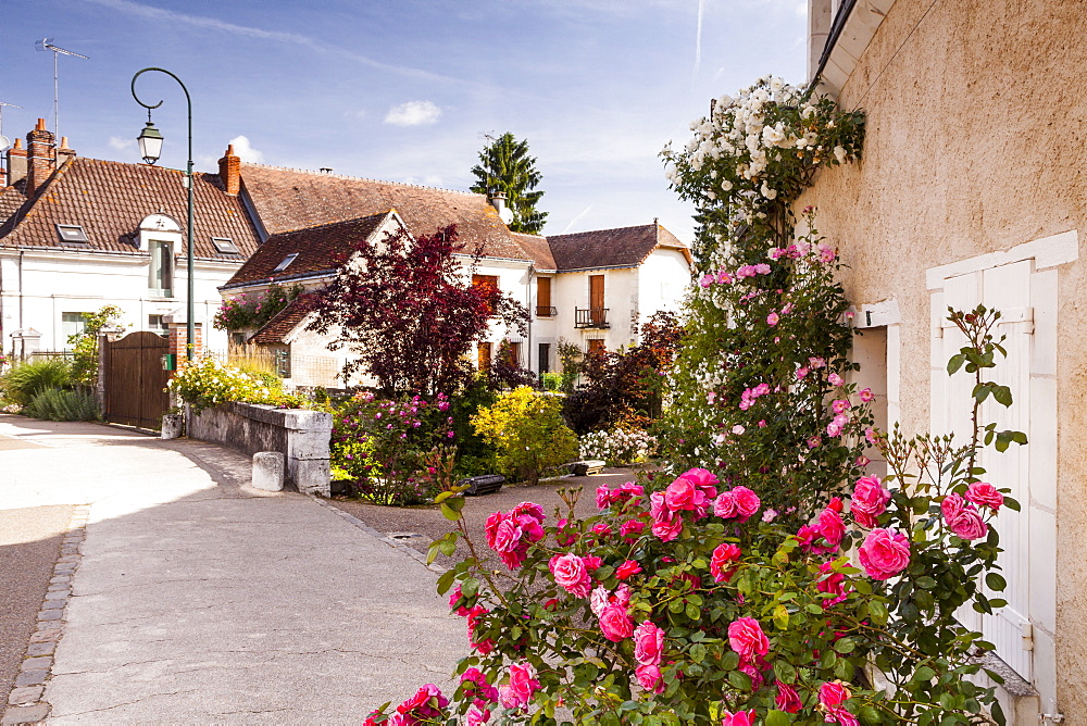 The village of Chedigny, Indre-et-Loire, Centre, France, Europe