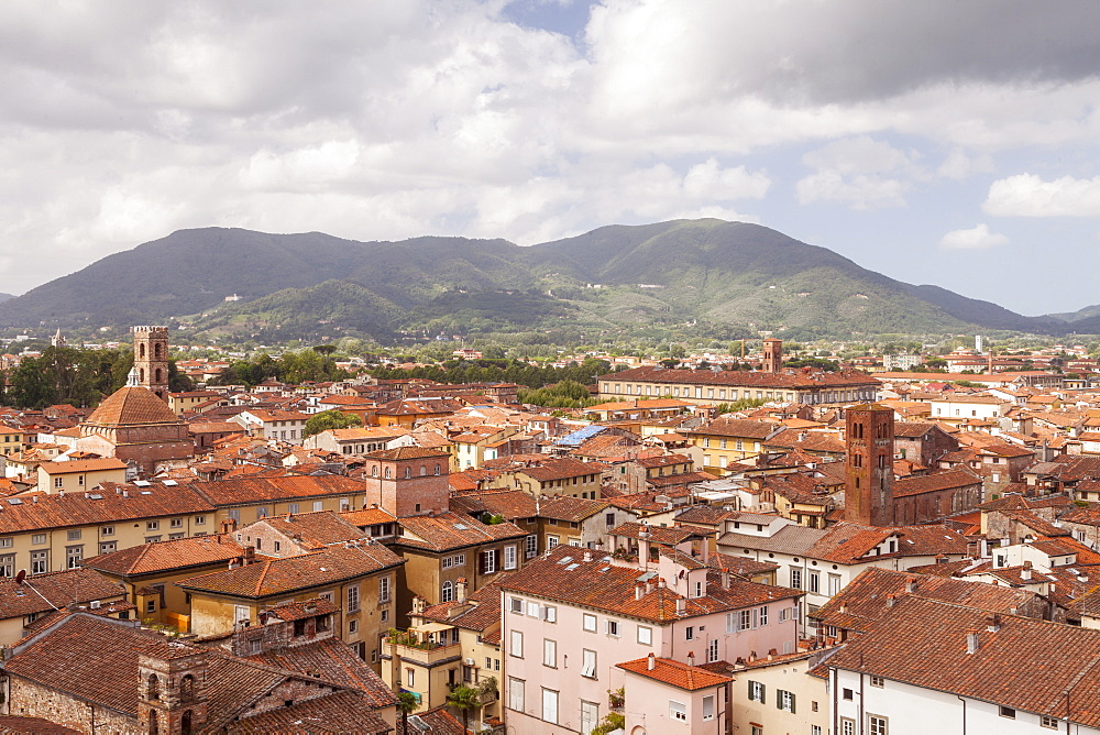 The rooftops of the historic centre of Lucca, Tuscany, Italy, Europe