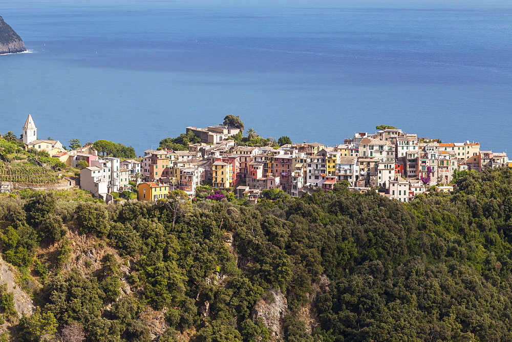 The village of Corniglia in the Cinque Terre, UNESCO World Heritage Site, Liguria, Italy, Europe