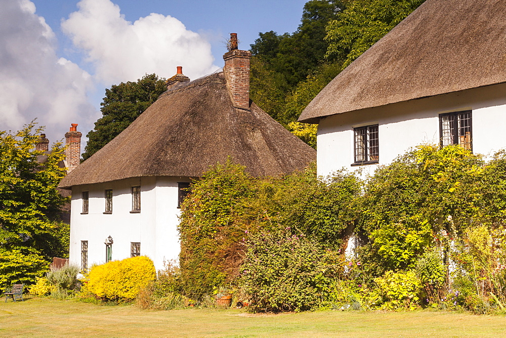 Thatched cottages in Milton Abbas, Dorset, England, United Kingdom, Europe