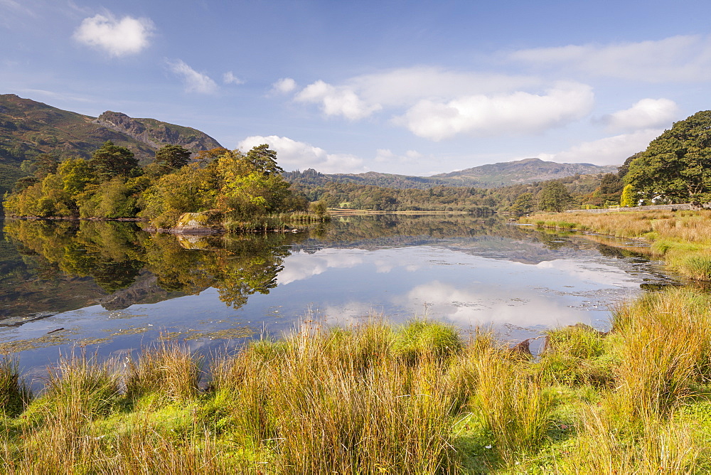 The still water of Rydal Water in the Lake District National Park, Cumbria, England, United Kingdom, Europe