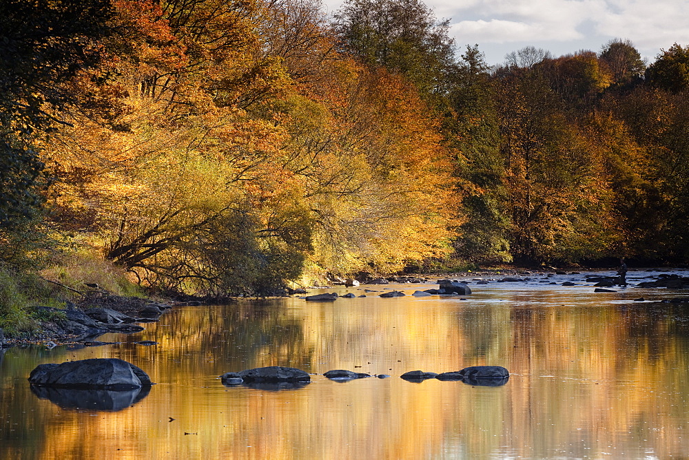 Beautiful autumn colours reflecting in the River Creuse, a favourite area of the river of the artist Claude Monet, Limousin, France, Europe