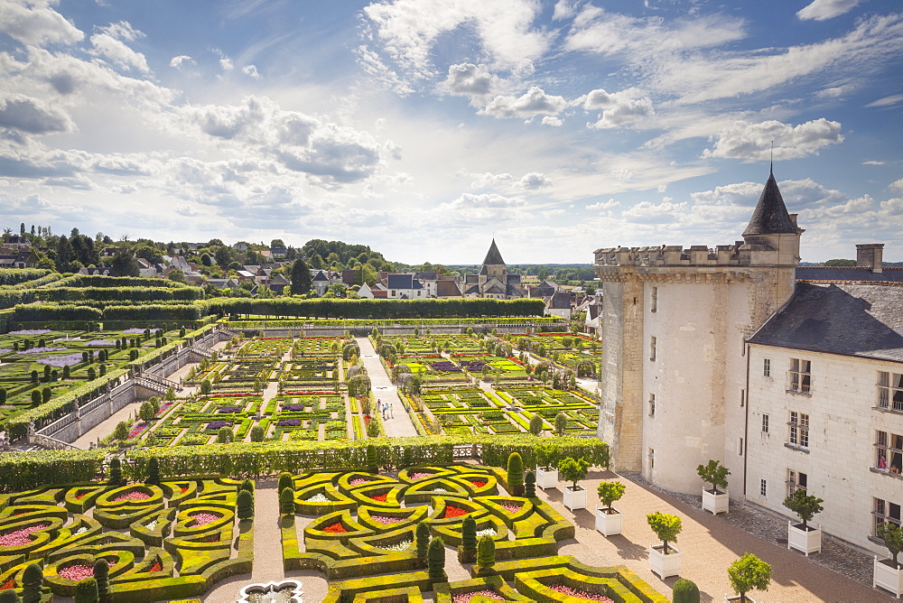 The maze-like gardens at the Chateau of Villandry, UNESCO World Heritage Site, Loire Valley, Indre et Loire, Centre, France, Europe