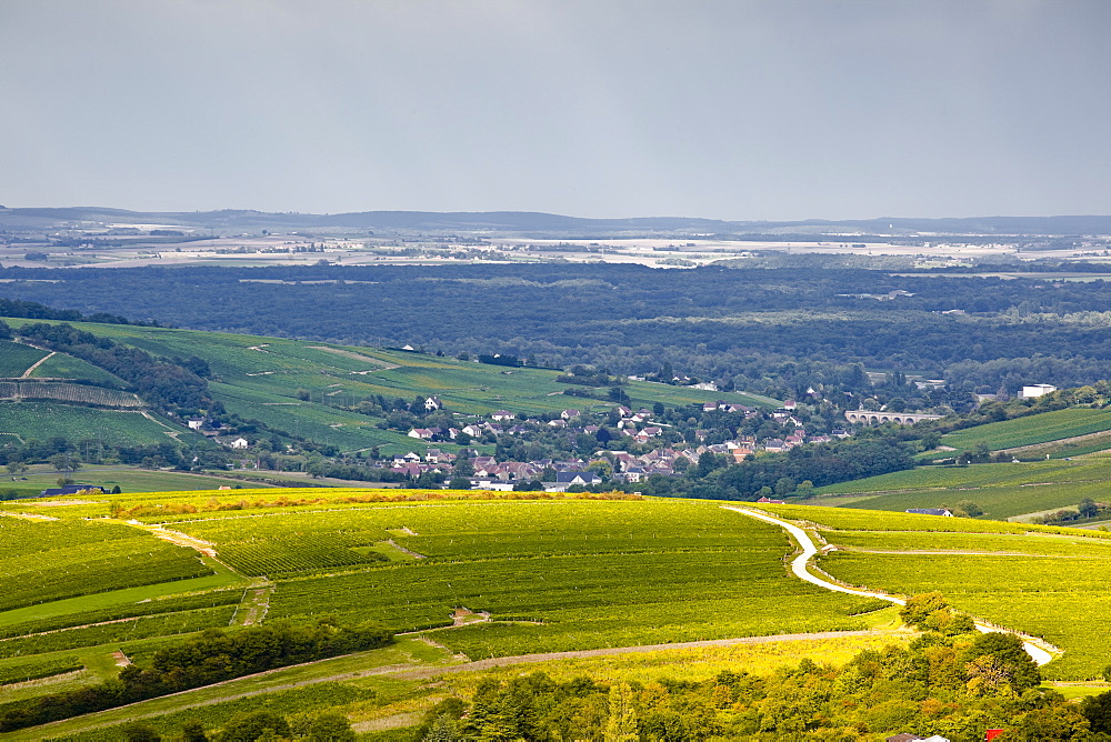 The vineyards of Sancerre under a passing storm at the end of summer, Cher, Centre, France, Europe