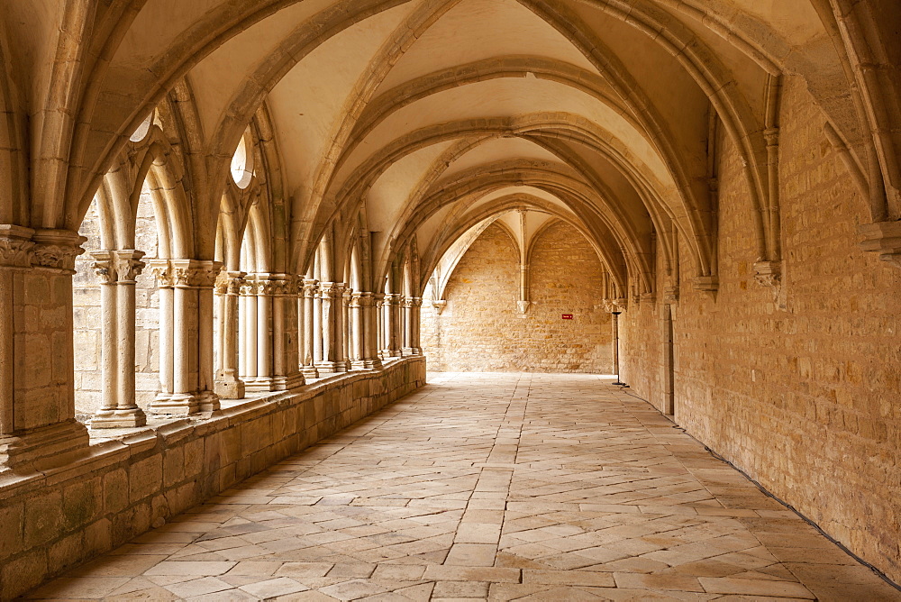 The Abbey at Noirlac (Abbaye de Noirlac), Cher, Centre, France, Europe