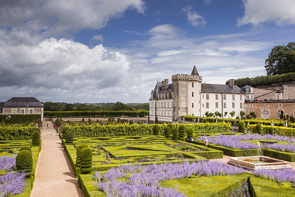 The beautiful castle and gardens at Villandry, UNESCO World Heritage Site, Indre et Loire, Centre, France, Europe