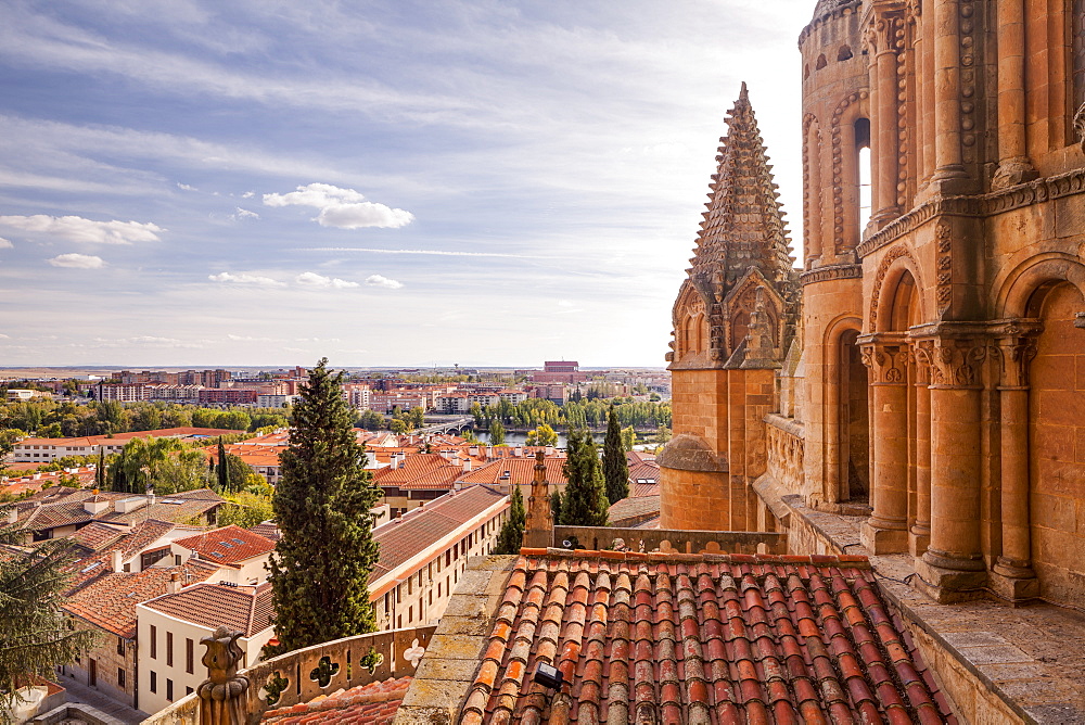 The cathedral in Salamanca, UNESCO World Heritage Site, Castile and Leon, Spain, Europe