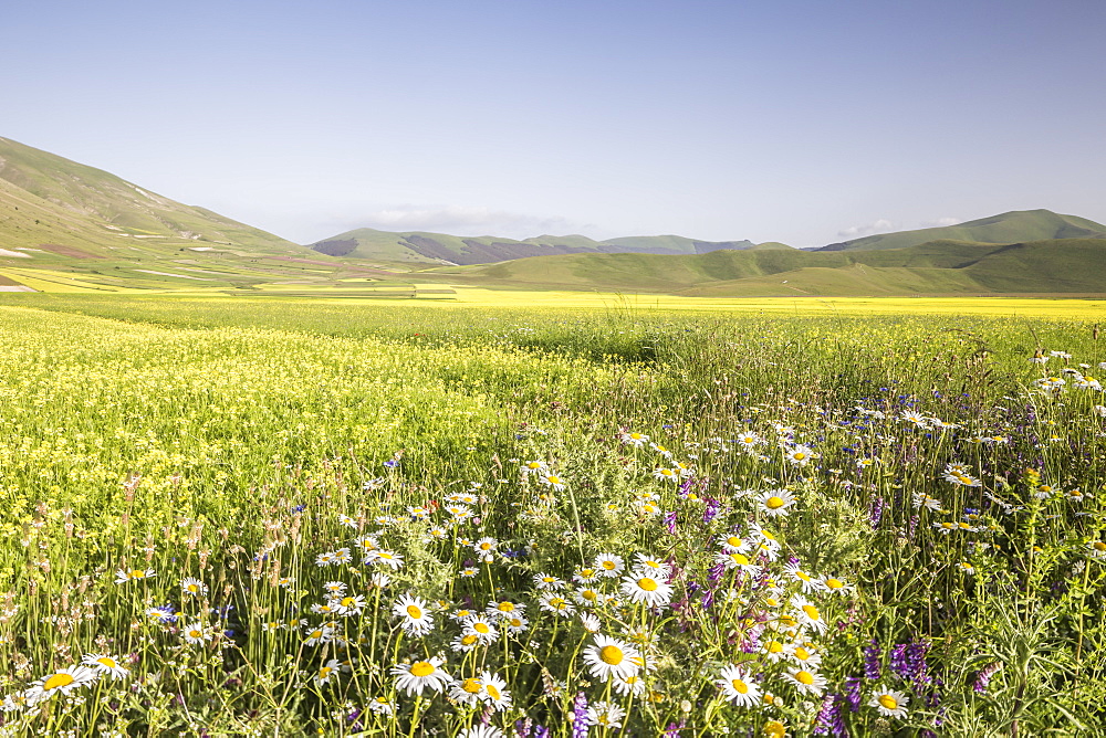 The Piano Grande in the Monti Sibillini, Umbria, Italy, Europe