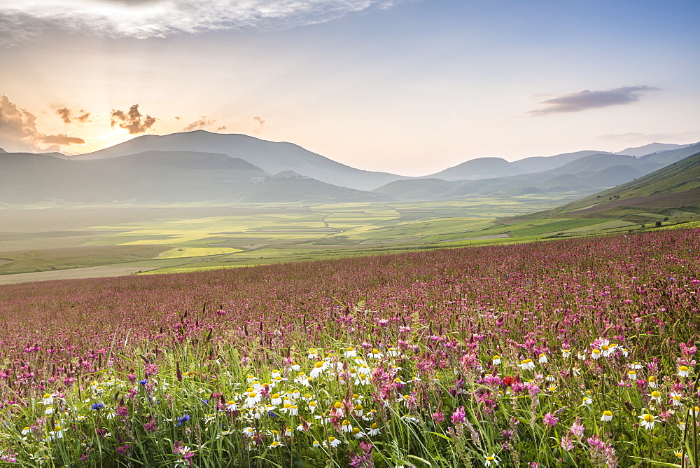 The Piano Grande in the Monti Sibillini, Umbria, Italy, Europe