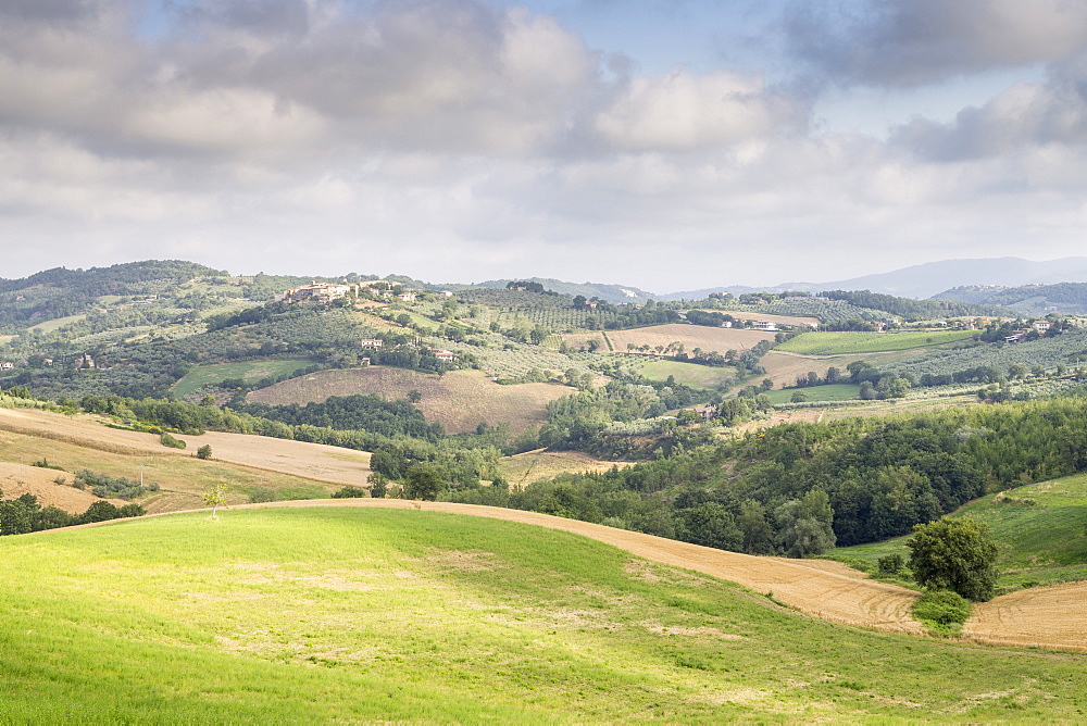 Rolling hills of the Val di Spoleto, Umbria, Italy, Europe