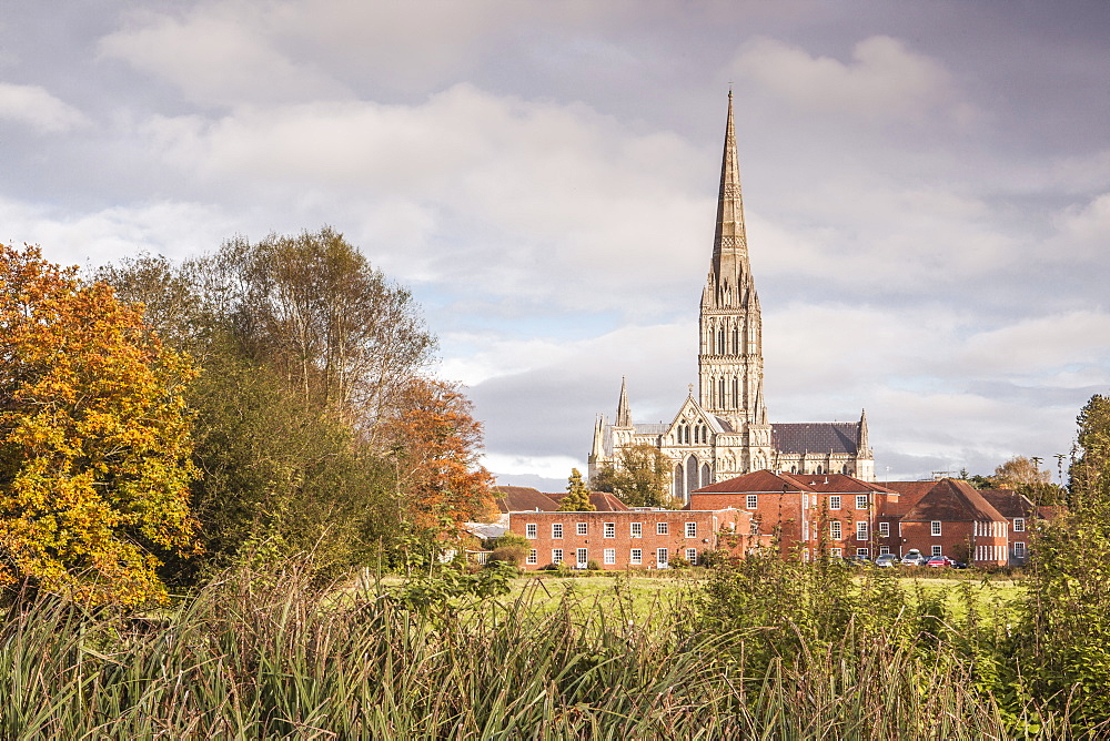 Salisbury Cathedral from the West Harnham Water Meadows, Salisbury, Wiltshire, England, United Kingdom, Europe