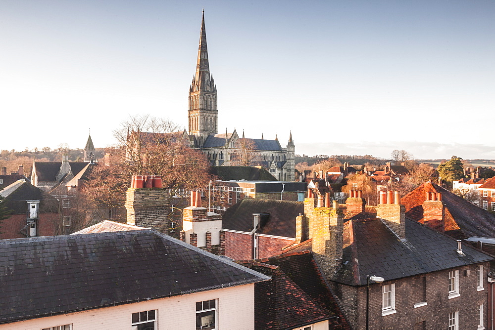 Salisbury cathedral across the rooftops of the city, Salisbury, Wiltshire, England, United Kingdom, Europe