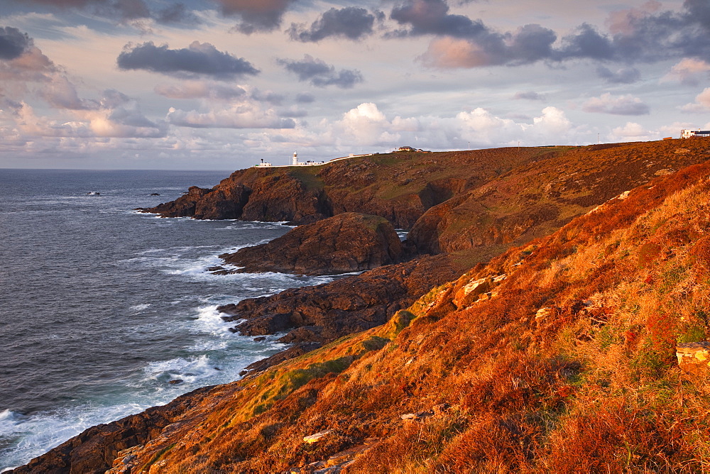 Looking towards Pendeen lighthouse and watch on the Cornish coastline, Cornwall, England, United Kingdom, Europe