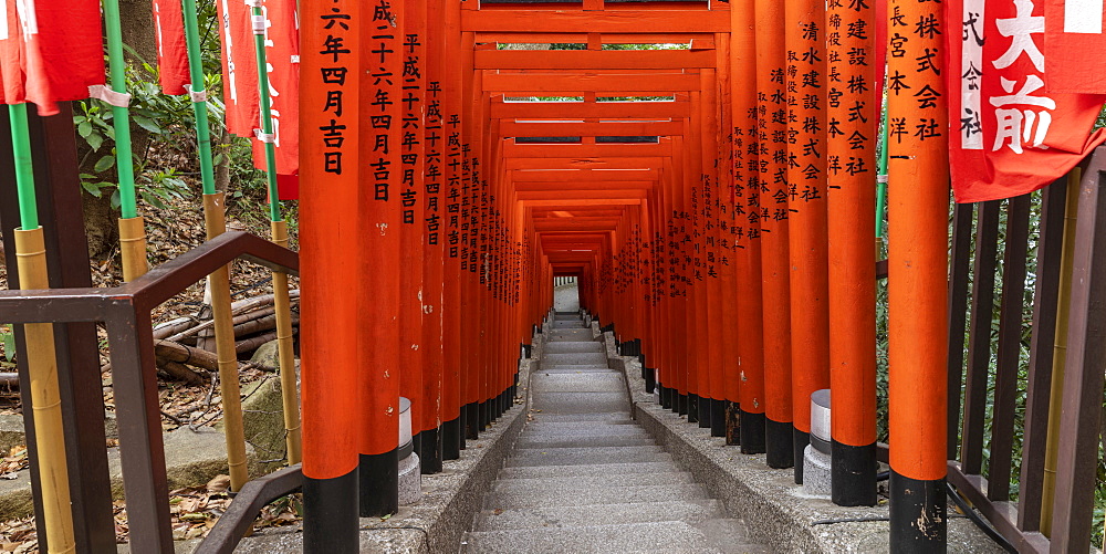 Torii gates at Hie Shrine in Chiyoda, Tokyo, Japan, Asia