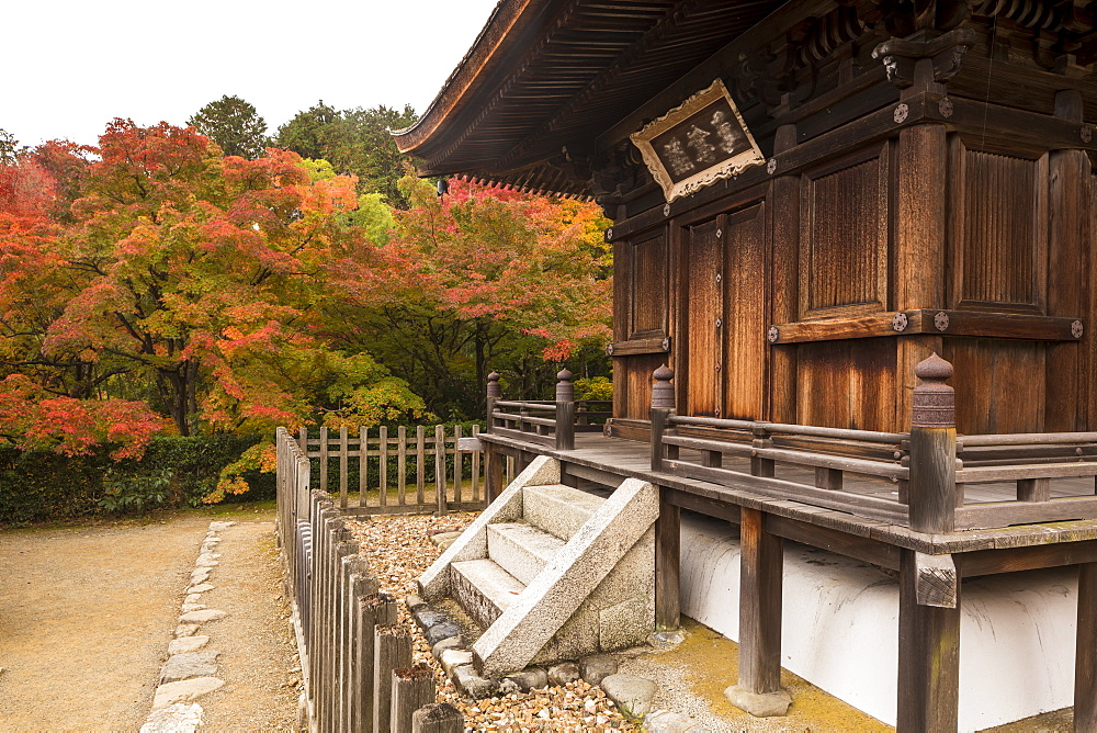 Autumn color in Jojakko-ji Temple in Arashiyama, Kyoto, Japan, Asia