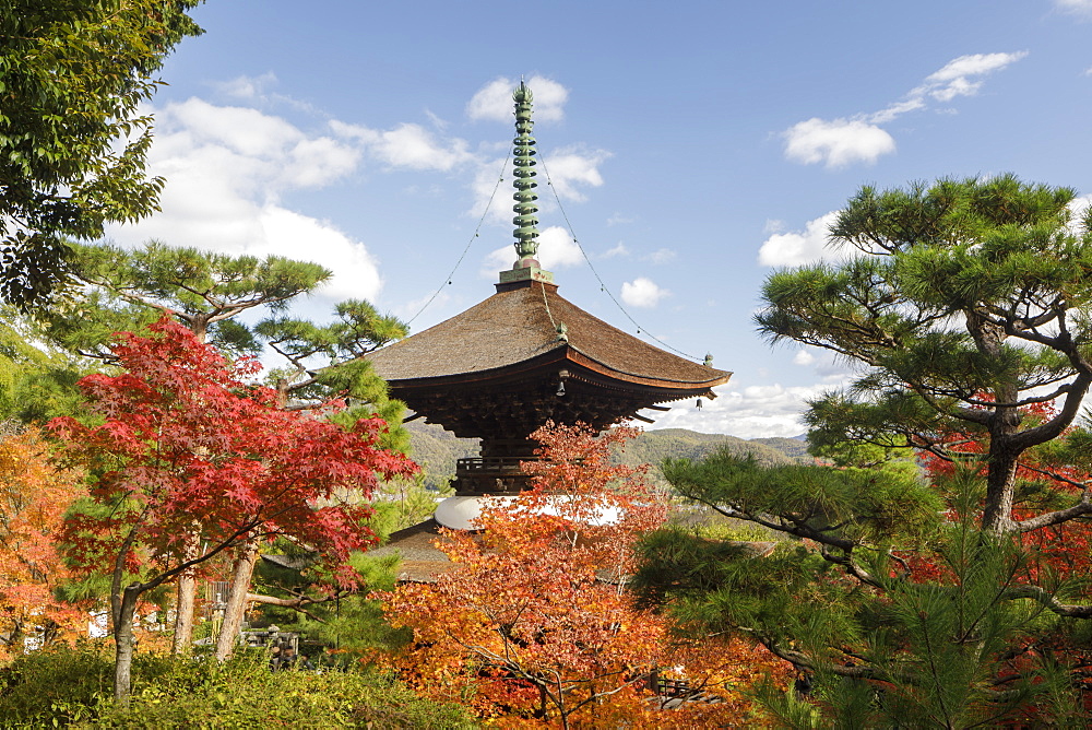 Autumn color in Jojakko-ji Temple in Arashiyama, Kyoto, Japan, Asia