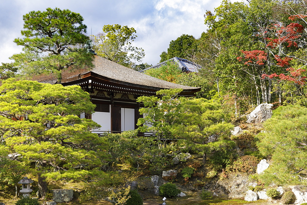 Autumn color in Ninna-ji Temple, founded in 888, UNESCO World Heritage Site, Kyoto, Japan, Asia