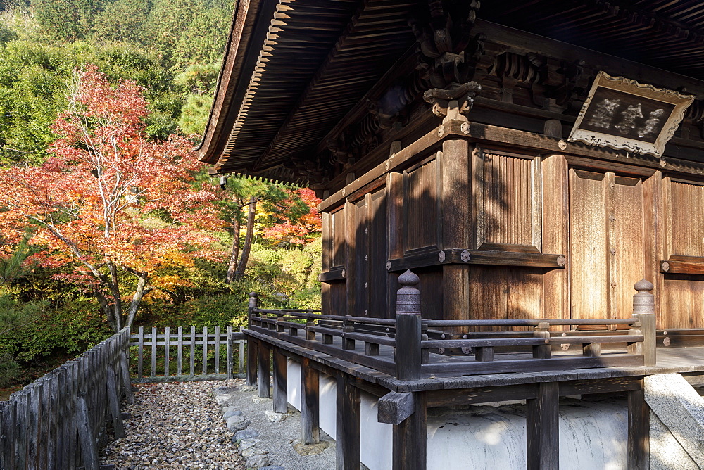 Autumn color in Jojakko-ji Temple in Arashiyama, Kyoto, Japan, Asia