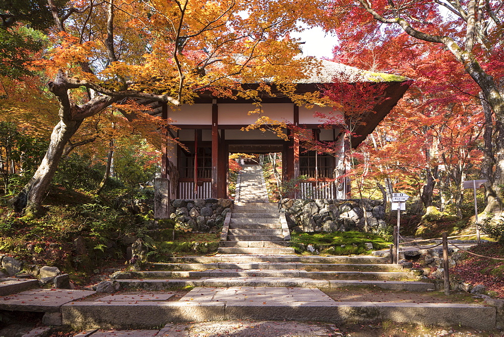 Autumn color in Jojakko-ji Temple in Arashiyama, Kyoto, Japan, Asia