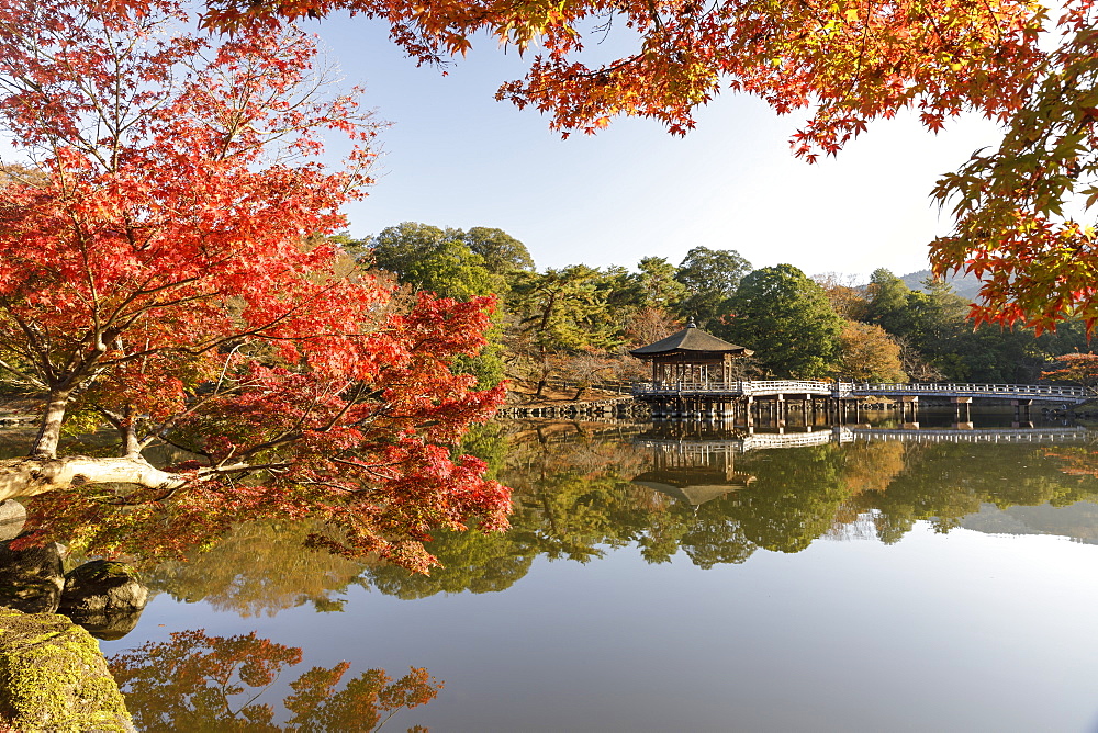 Autumn color around Ukimido pavilion on the Sagiike Pond, Nara Park, Nara, Japan, Asia