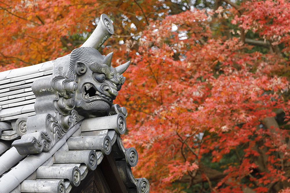 Autumn color around Todaiji Hokkedo in Nara, Japan, Asia