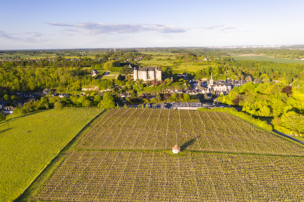 Aerial of the chateau and vineyards of Luynes, Indre et Loire, France, Europe