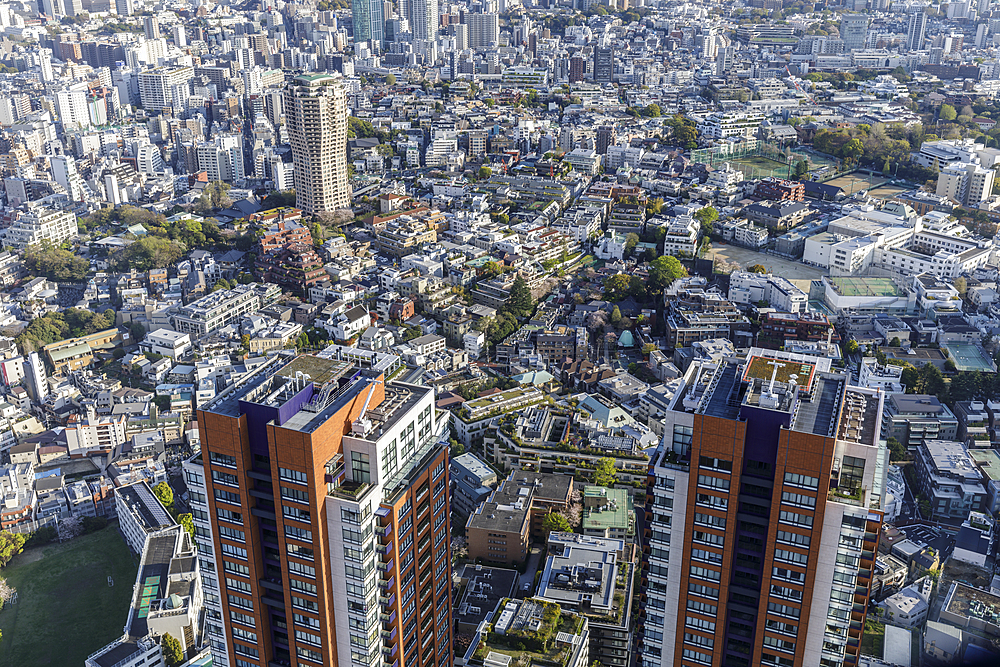 Looking down onto a residential district of central Tokyo, Japan, Asia