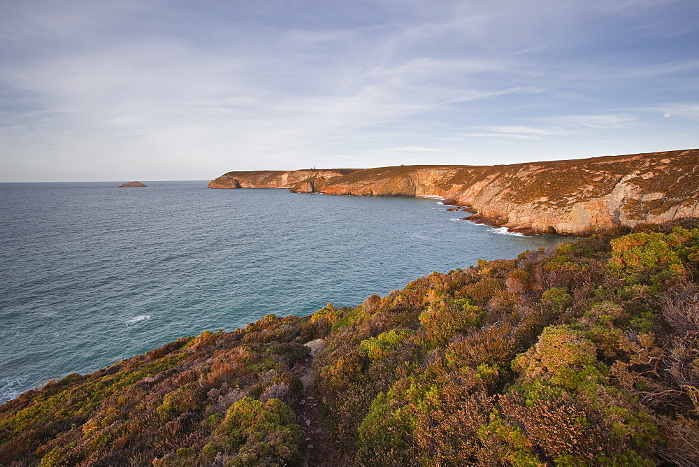 The coastline of Brittany on Cap Frehel, Cote d'Emeraude (Emerald Coast), Brittany, France, Europe