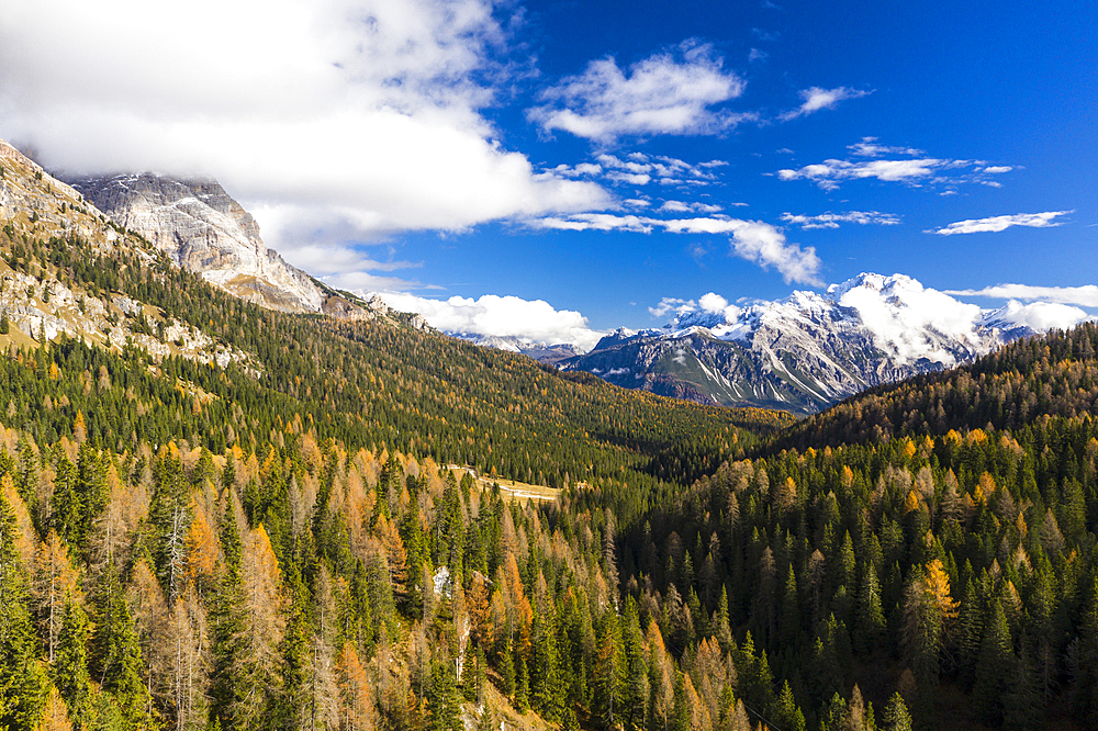 Autumn color near to Cortina d'Ampezzo in the Dolomites, Veneto, Italy, Europe