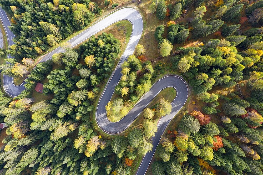 Autumn colour on a mountain pass in the Italian Dolomites, Trento-Alto Adige, Italy, Europe