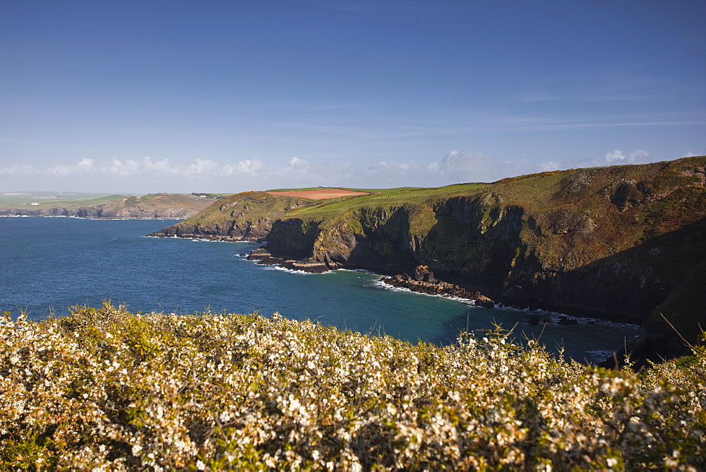 Pengirt Cove, Cornwall, England, United Kingdom, Europe